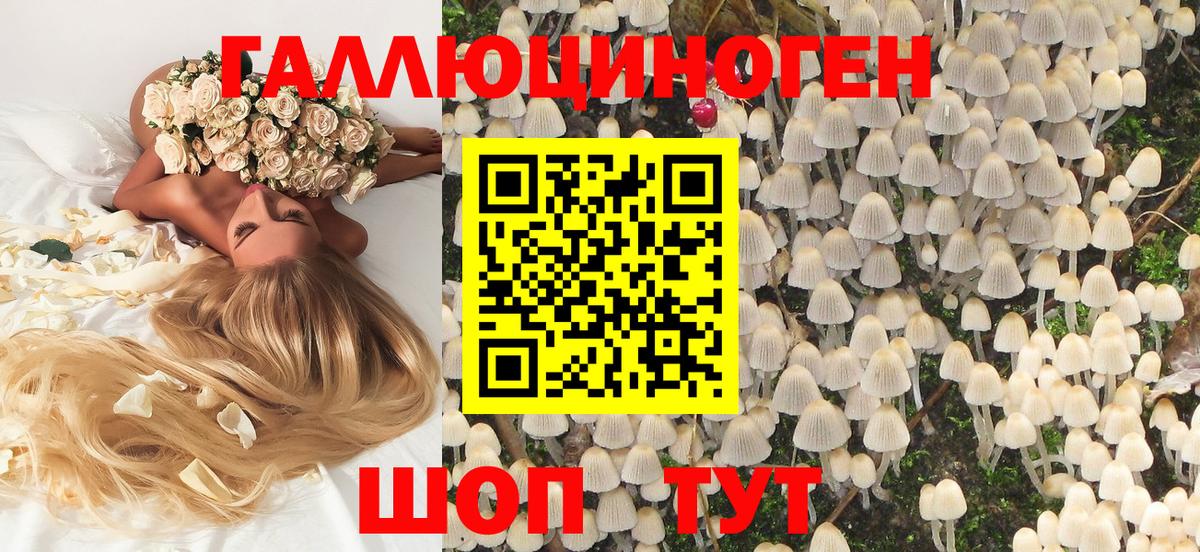 купить наркотик  Вход с VPN  Алексеевка  Галлюциногенные грибы Psilocybine cubensis  Псилоцибиновые грибы мицелий 